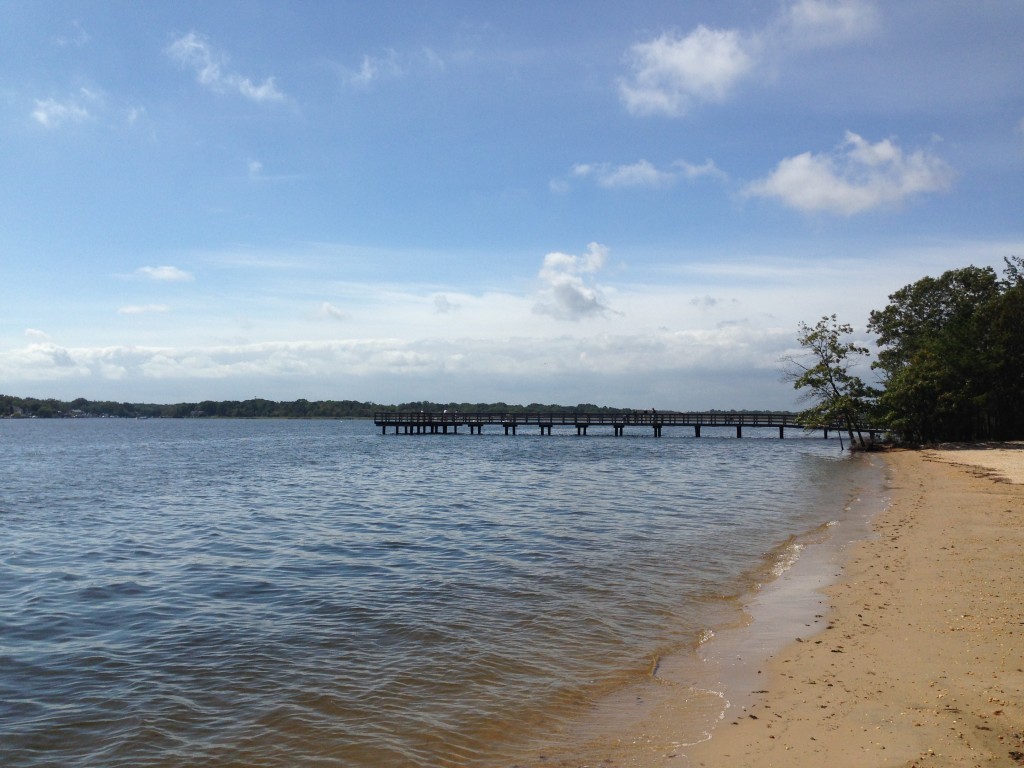 The Metedeconk River, at Windward Beach in Brick, N.J. (Photo: Daniel Nee)