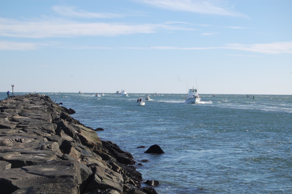 The north jetty of Barnegat Inlet at Island Beach State Park. (Photo: Daniel Nee)