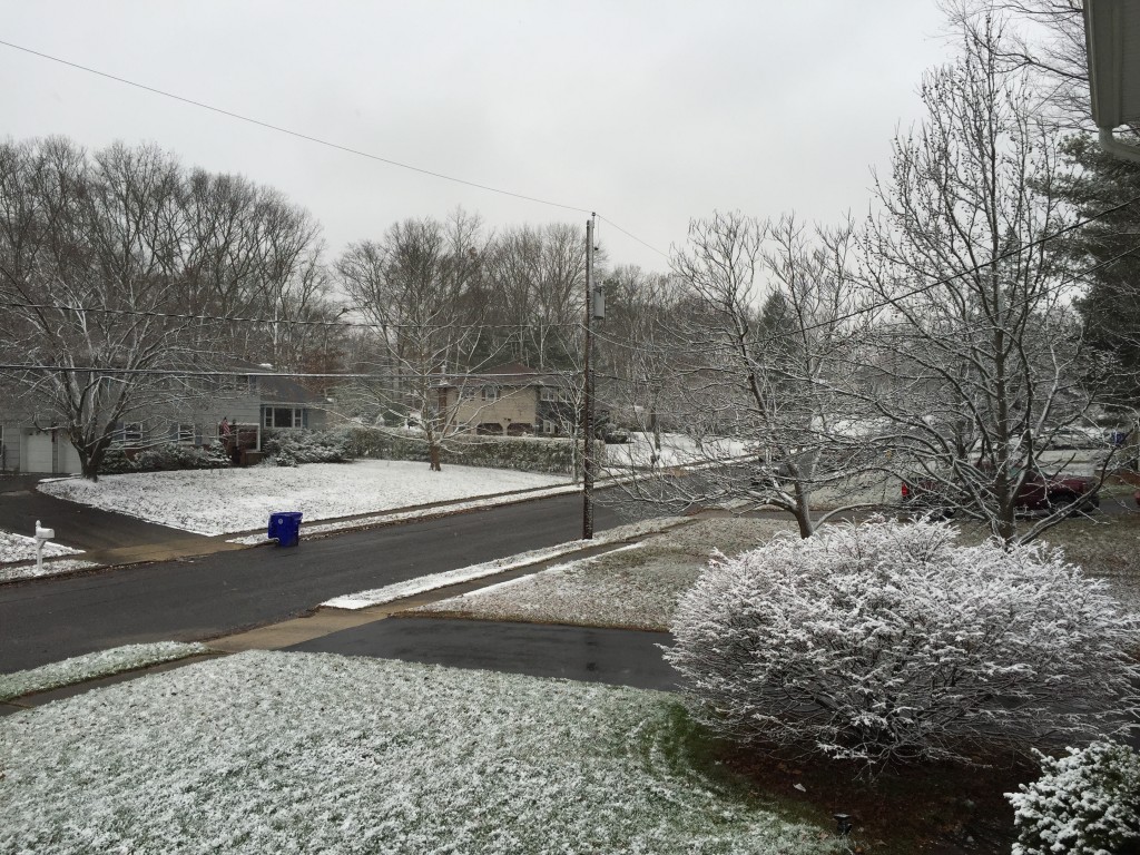 Ocean effect snow on the grass in Herbertsville. (Photo: Daniel Nee)