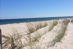 Dunes built by the U.S. Army Corps of Engineers in Long Beach Island. (Photo: Daniel Nee)