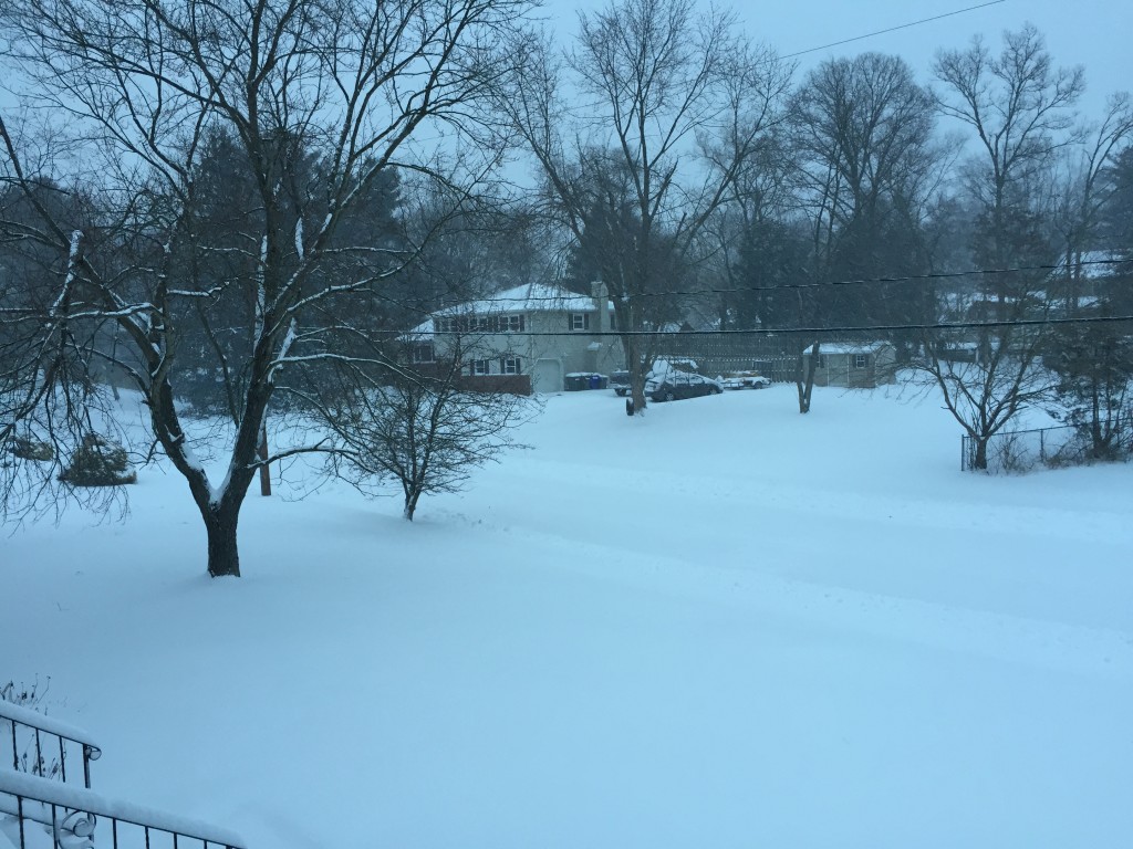 A few inches of snow piled up in Brick's Herbertsville section Tuesday morning. (Photo: Daniel Nee)