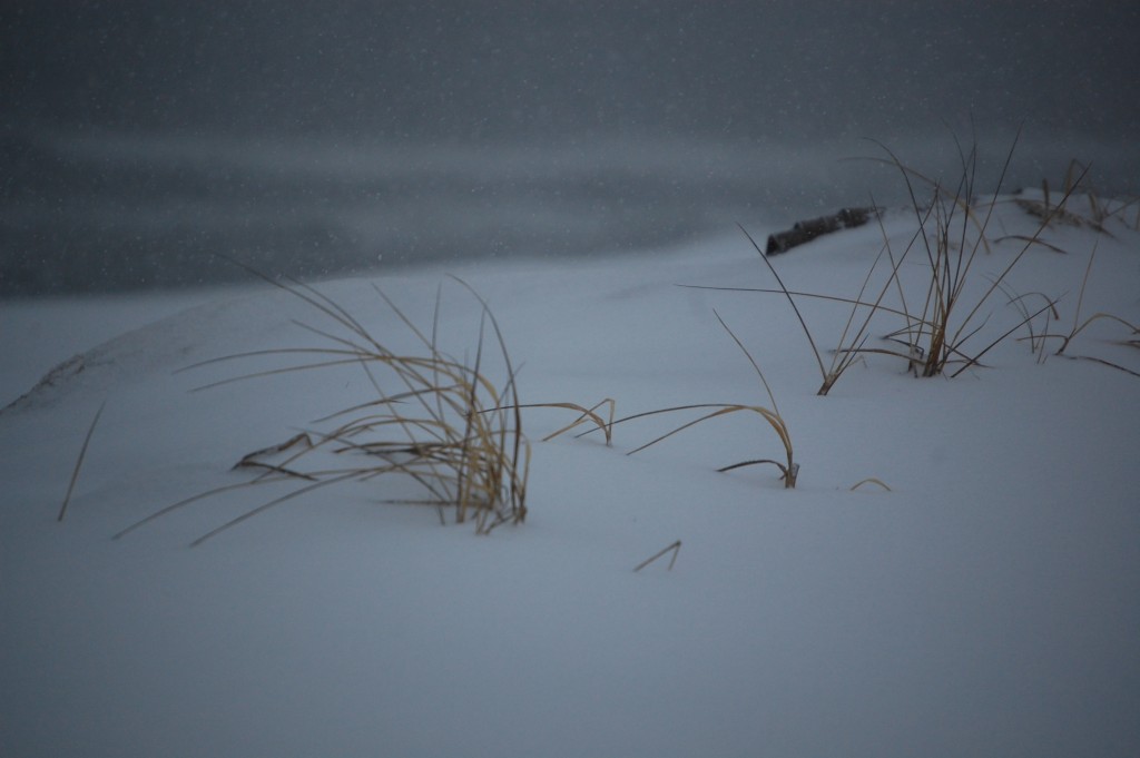 Brick Beach III during the March 5, 2015 snow storm. (Photo: Daniel Nee) Click to expand.