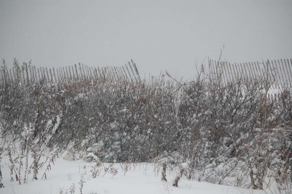 Brick Beach III during the March 5, 2015 snow storm. (Photo: Daniel Nee) Click to expand.