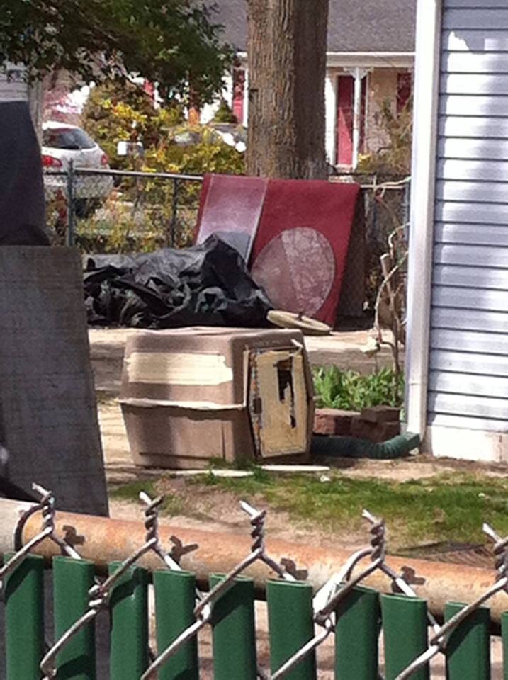 The cage in which Mocha the dog was euthanized