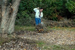 Raking leaves. (File Photo/Flickr/Sue Talbert Photography)
