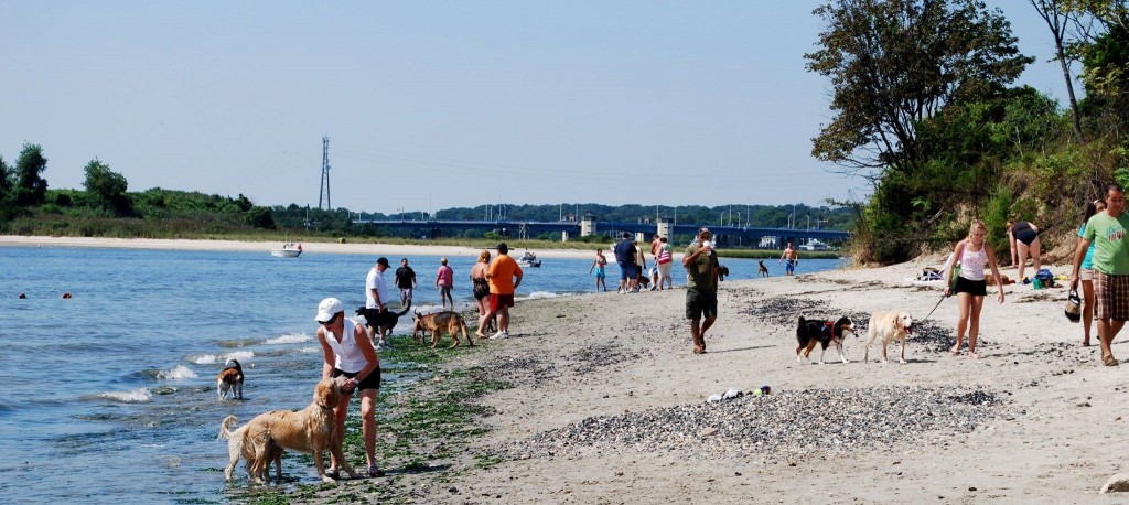 Fisherman's Cove, Manasquan, N.J. (Photo: Borough of Manasquan)