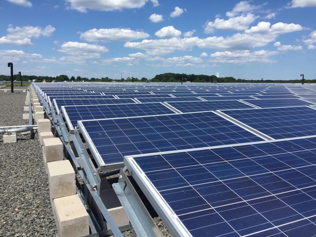 Solar panels at the former French's Landfill site. (Photo: Daniel Nee)