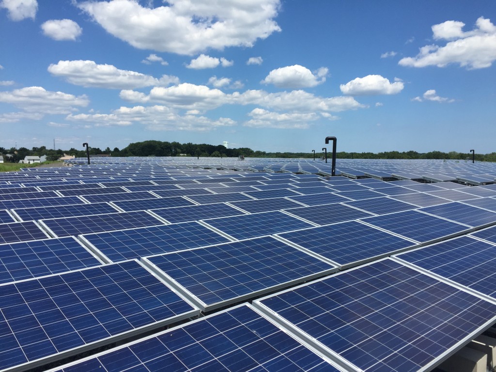 Solar panels at the former French's Landfill site. (Photo: Daniel Nee)