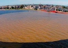 A silt plume in Barnegat Bay, summer 2015. (Photo: Save Barnegat Bay)