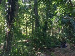 Open land near the Pioneer Hose fire company in Brick, N.J. (Credit: Fight to Preserve Remaining Open Space in Brick Township/Facebook)