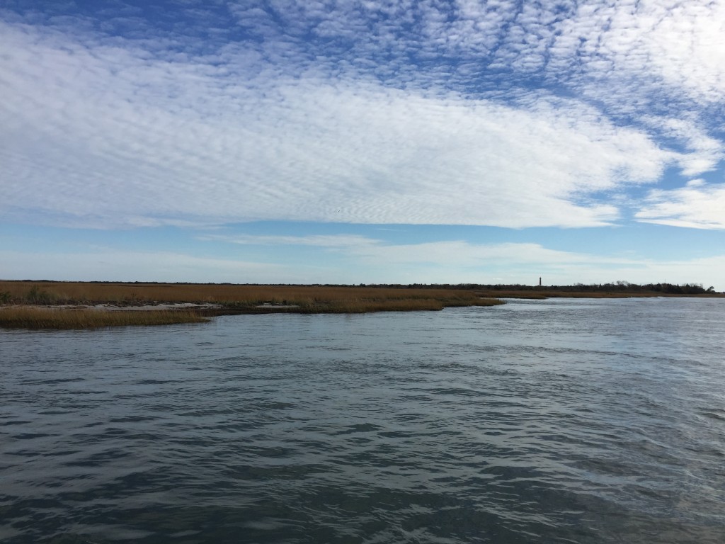 Sedge Islands, Barnegat Bay. (Photo: Daniel Nee)