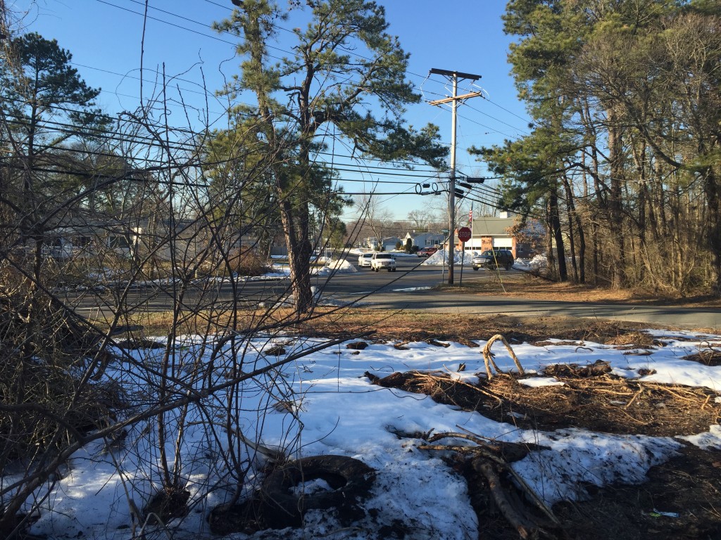 A partially-cleared lot off Jordan Road in Brick. (Photo: Daniel Nee)