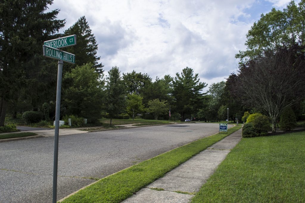 Rolling Hills Drive and Overlook Court in Herbertsville. (Photo: Daniel Nee)