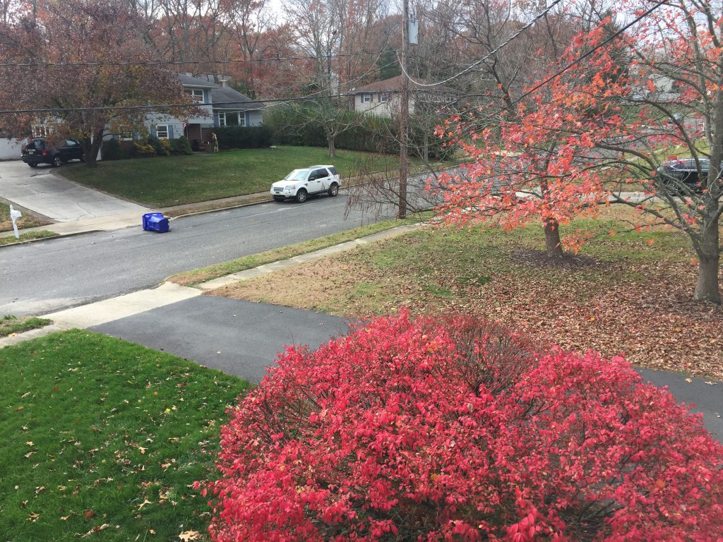 Fall weather in Ocean County, NJ, Nov. 21, 2016. (Photo: Daniel Nee)