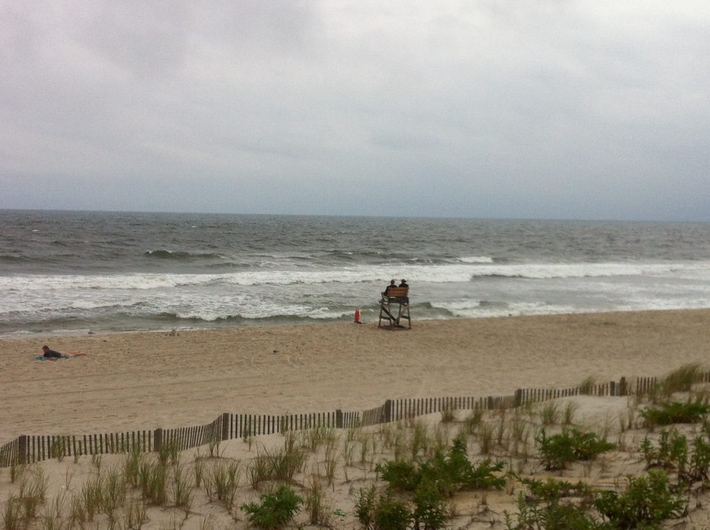 Dune grass in Surf City, N.J. (Photo: Daniel Nee)