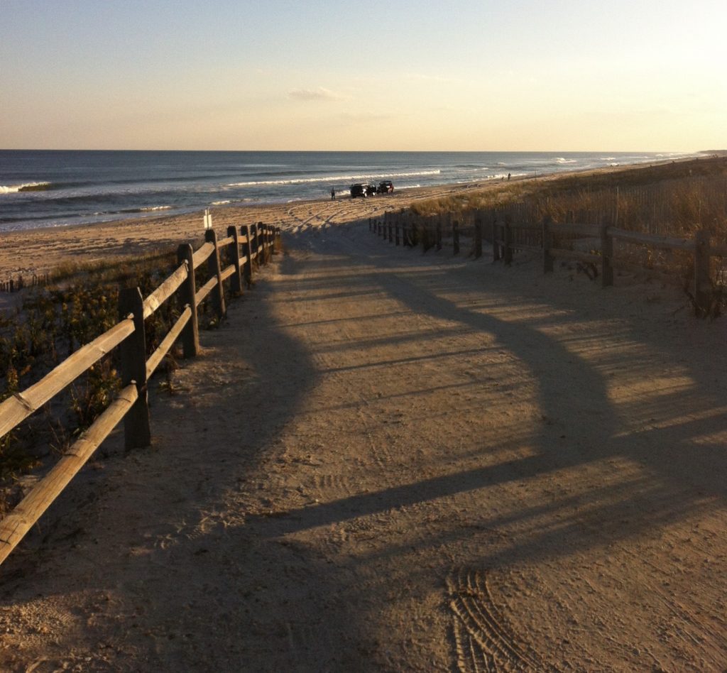 A dune crossover on a vehicle access beach in Surf City, N.J. (Photo: Daniel Nee)