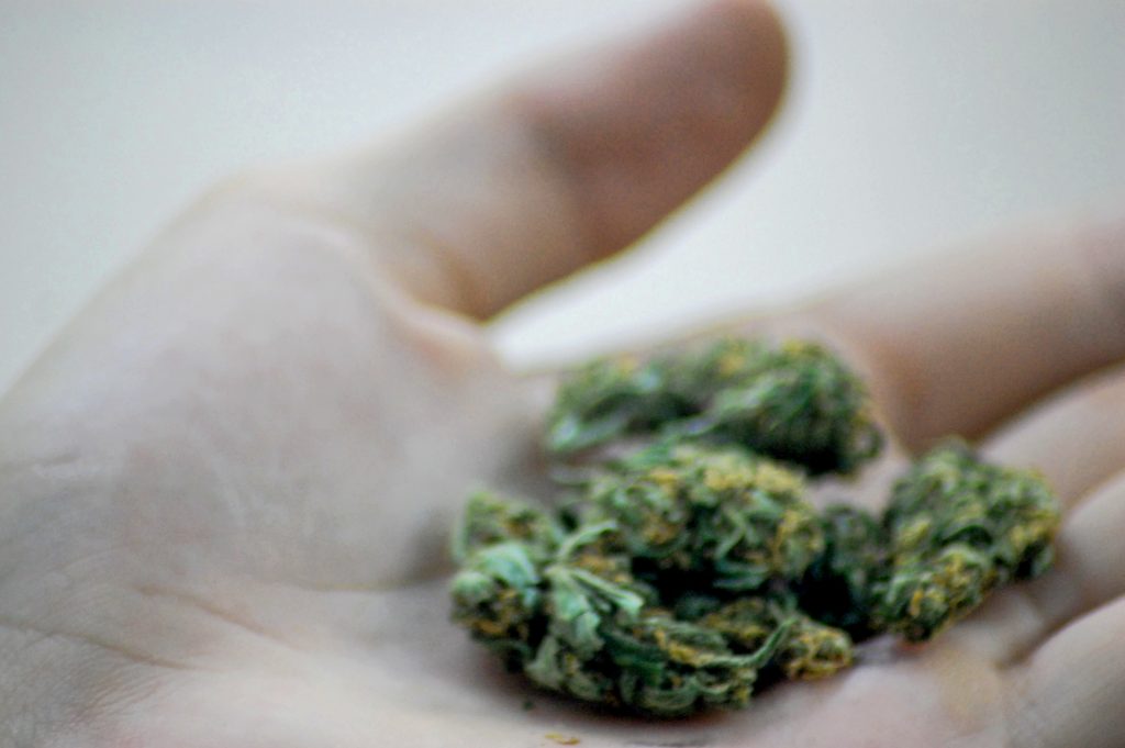Marijuana (Photo: Katheirne Hitt/Flickr)