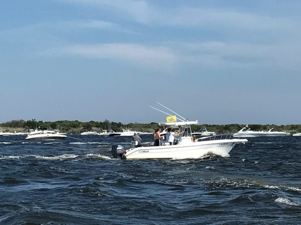Boaters beating the heat at Tices Shoal, Sunday, June 11, 2017. (Photo: Daniel Nee)