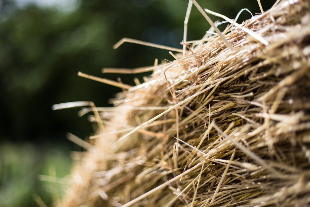 Bale of hay. (Photo:  Phil Roeder/Flickr)