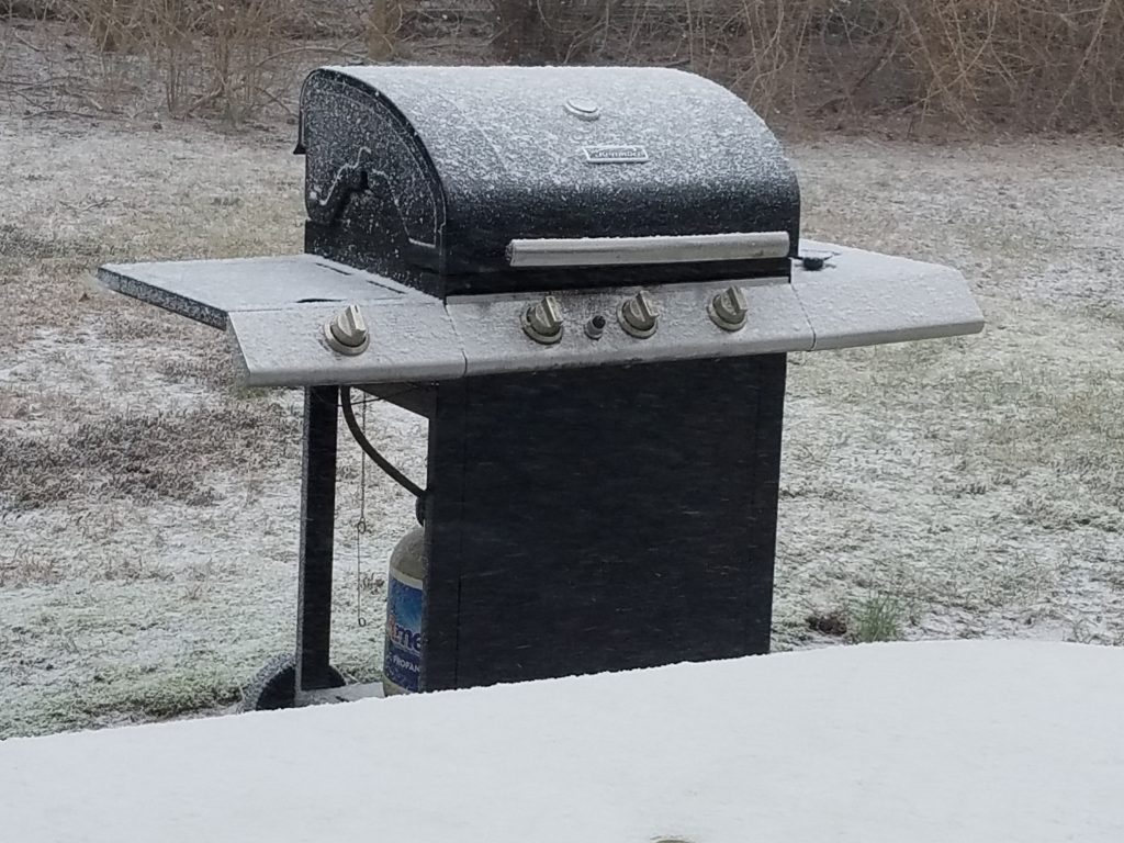 Snow starts falling in Brick, Jan. 30, 2019. (Photo: Patricia Nee)