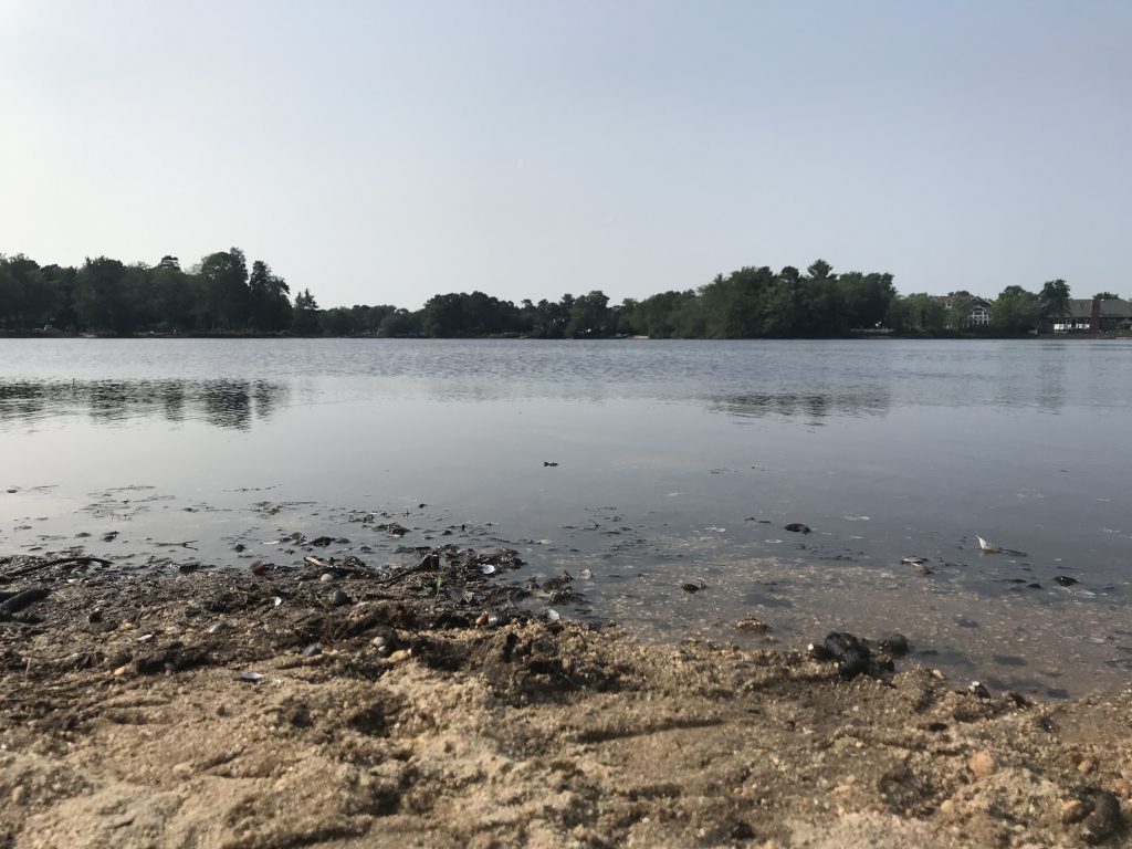 Lake Riviera, Brick, N.J., July 2019. (Photo: Daniel Nee)