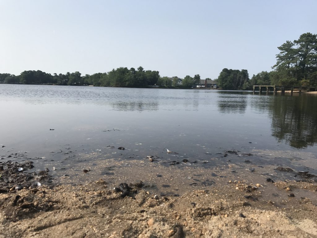 Lake Riviera, Brick, N.J., July 2019. (Photo: Daniel Nee)