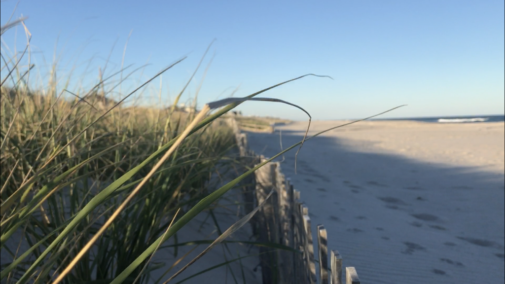 Brick Beach III, late Oct. 2019, following recovery from a nor'easter. (Photo: Daniel Nee)