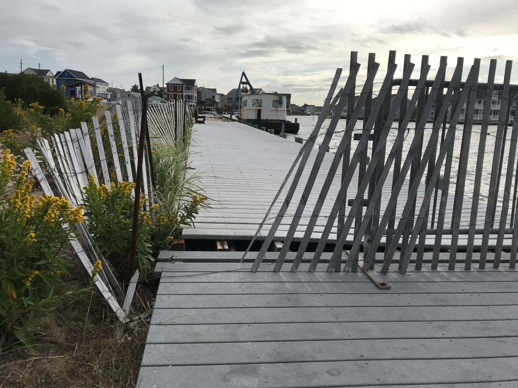 Bayside Park, Brick, N.J., Oct. 2019. (Photo: Daniel Nee)