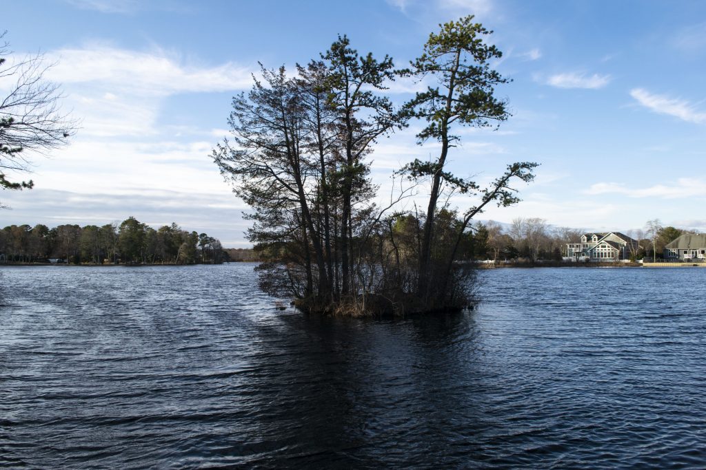 Lake Riviera at its normal water level, Nov. 20, 2019. (Photo: Daniel Nee)
