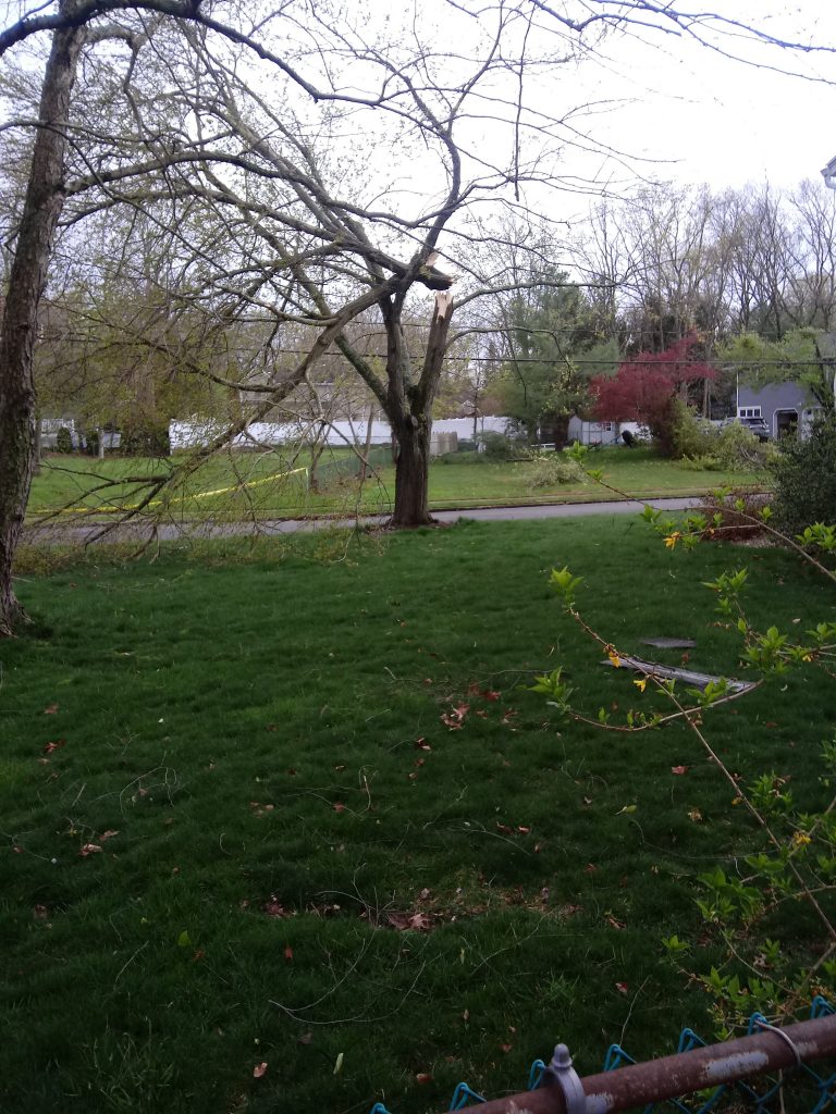 Damage to Point View Road from the April 21, 2020 storm. (Photo: Jack O'Callaghan)
