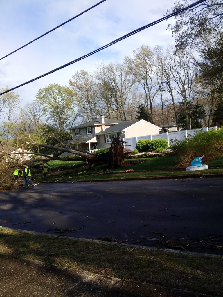 Damage to Point View Road from the April 21, 2020 storm. (Photo: Jack O'Callaghan)