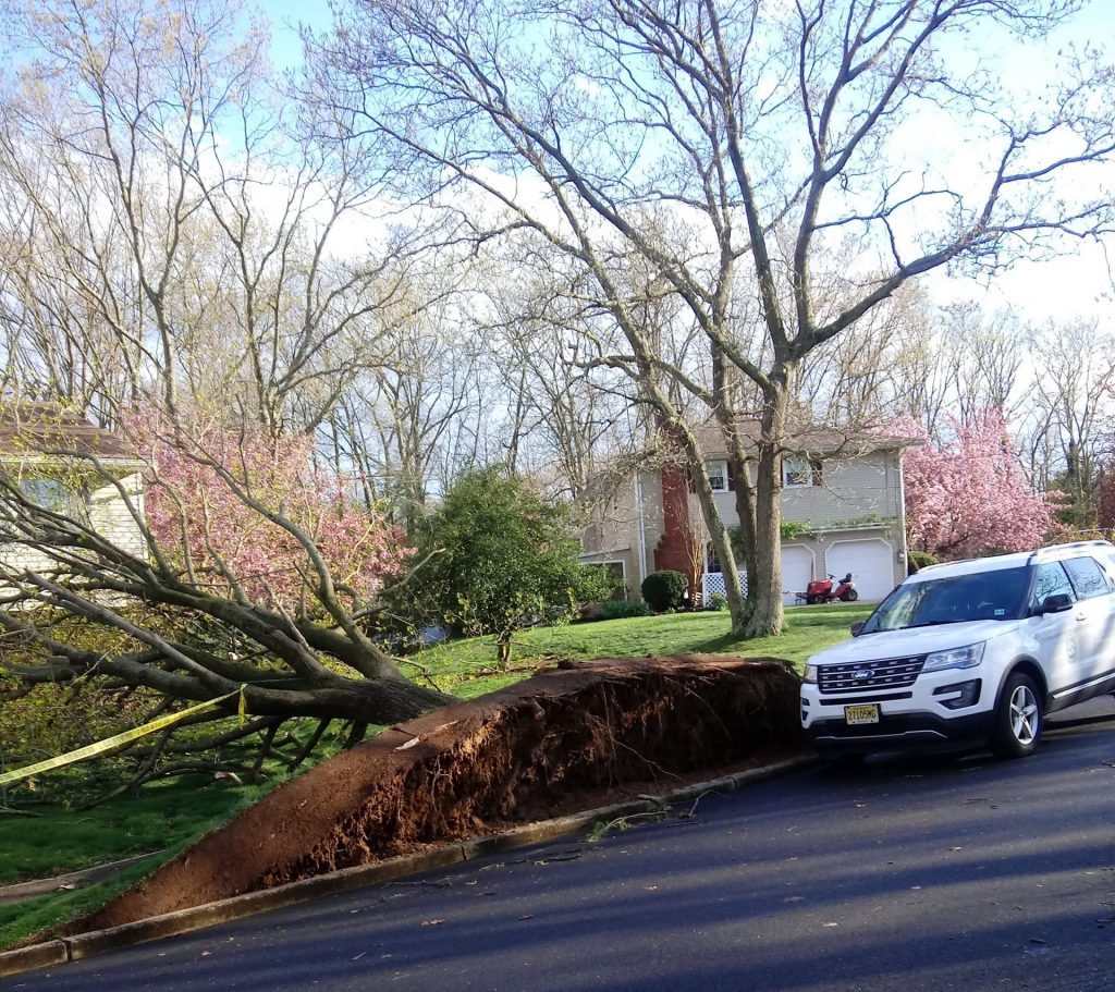 Damage to Point View Road from the April 21, 2020 storm. (Photo: Jack O'Callaghan)