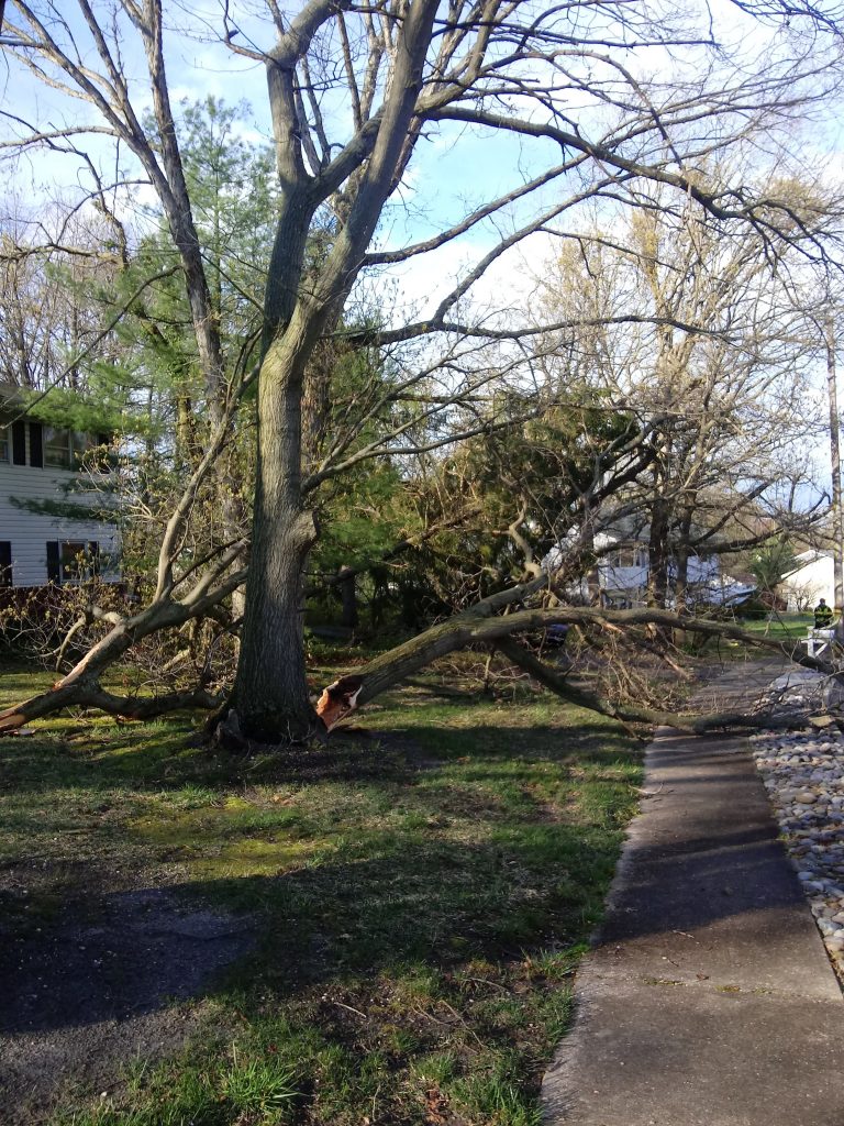 Damage to Point View Road from the April 21, 2020 storm. (Photo: Jack O'Callaghan)