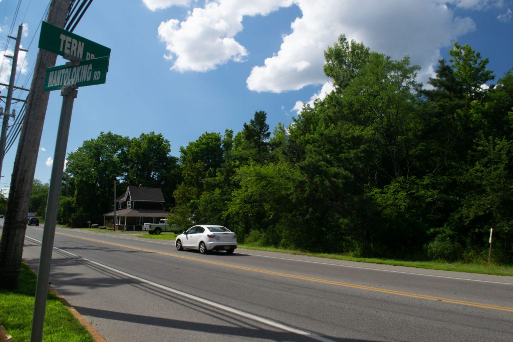 Mantoloking Road, looking toward an 8.2-acre piece of land under consideration for open space preservation. (Photo:Daniel Nee)