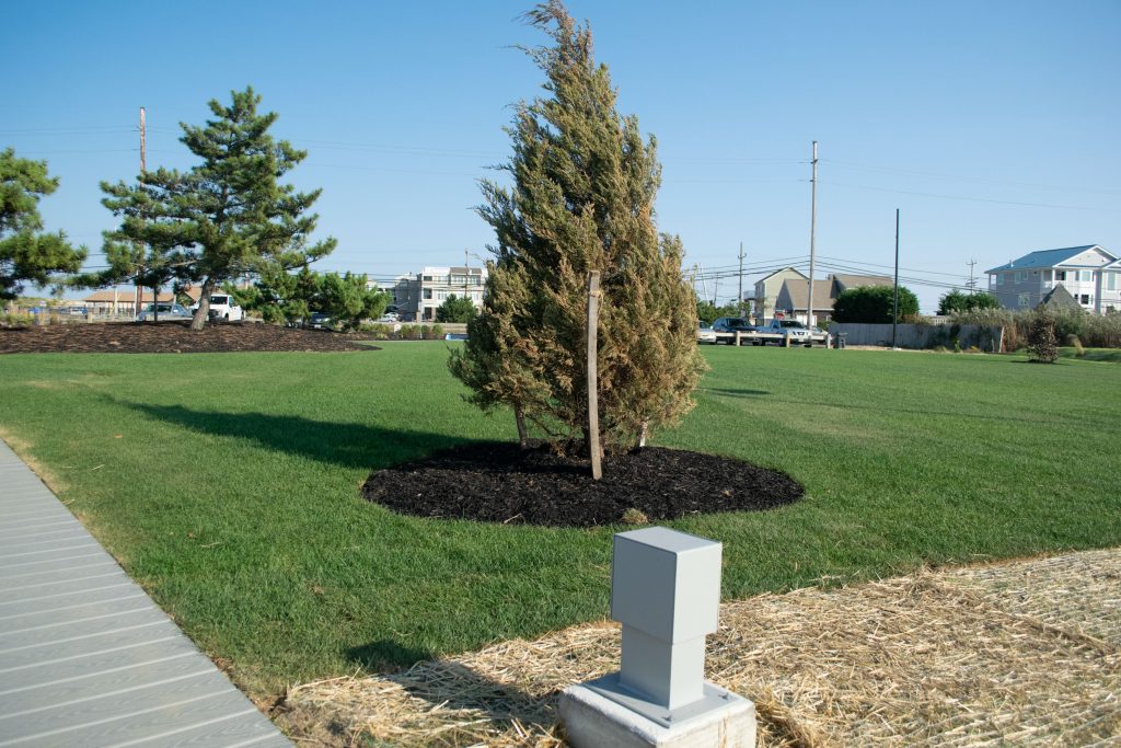 Bayside Park, a day after it reopened, Oct. 7, 2020. (Photo: Daniel Nee)
