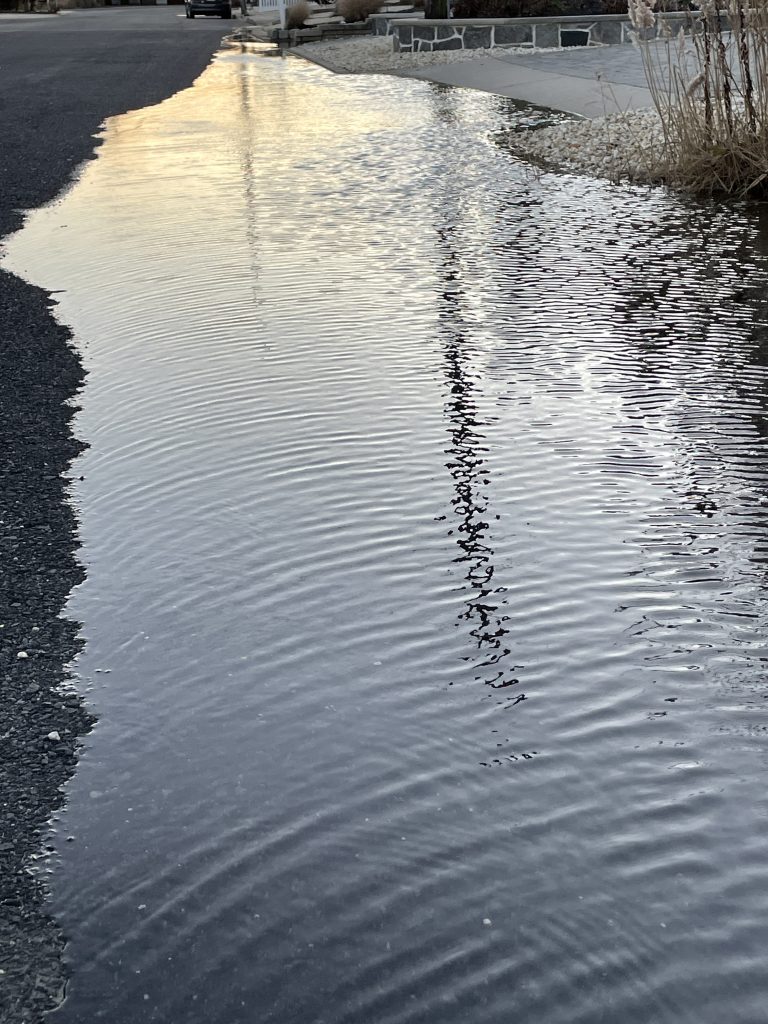 Flooding in the Normandy Beach neighborhood, Jan. 2021. (Photo: Daniel Nee)