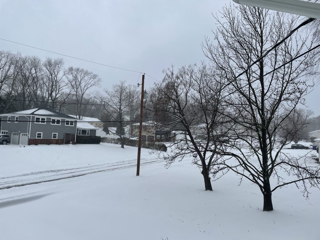 Snowfall in Brick Township N.J.'s Herbertsville section, Feb. 1, 2021. (Photo: Daniel Nee)