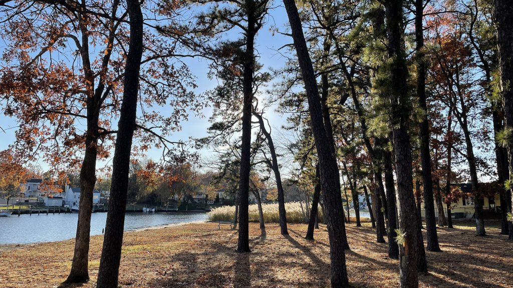 Cedar Bridge Manor Park, Nov. 2021. (Photo: Daniel Nee)