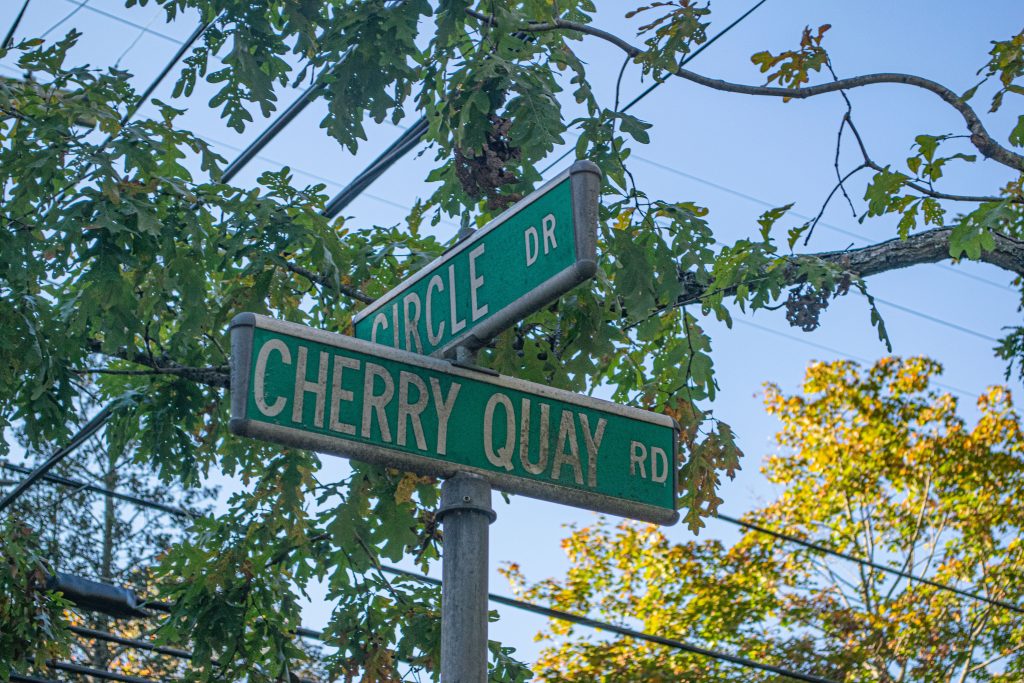 A proposed six home subdivision at Cherry Quay Road and Circle Drive in Brick, Nov. 1, 2021. (Photo: Daniel Nee)