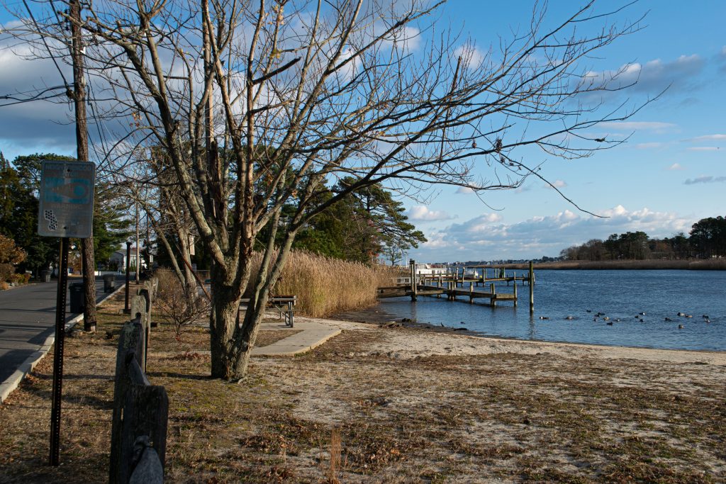 Mallard Point Park, Brick, N.J., Nov. 2021. (Photo: Daniel Nee)