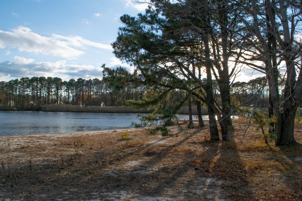 Mallard Point Park, Brick, N.J., Nov. 2021. (Photo: Daniel Nee)