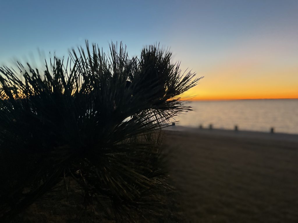 Sunset at Bayside Park, Brick, N.J. (Photo: Daniel Nee)