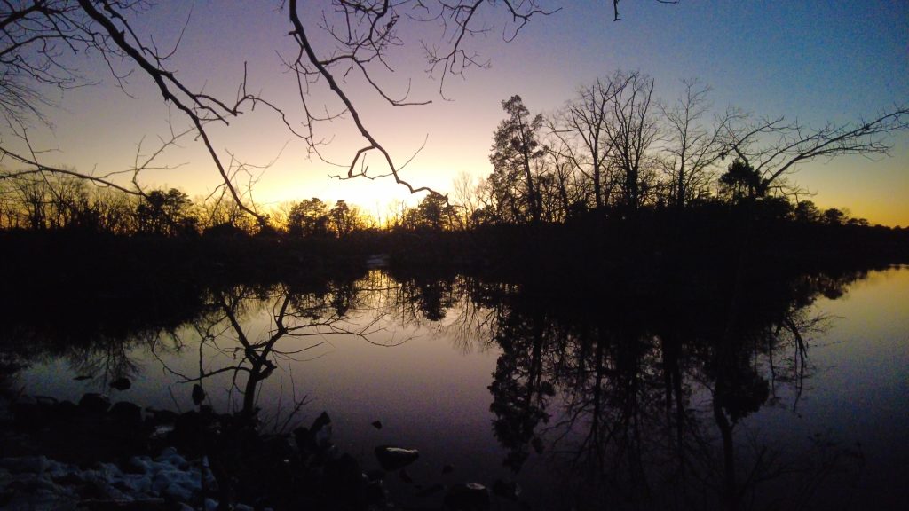Forge Pond, Brick, N.J., Jan. 8, 2022. (Photo: Daniel Nee)