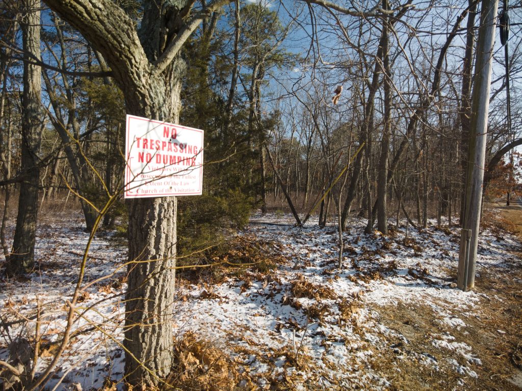 An undeveloped wooded area off Laurel Avenue in Brick, where 59 homes are proposed. (Photo: Daniel Nee)