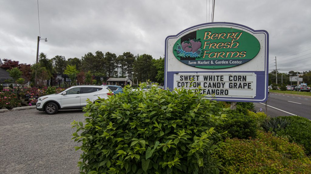 Berry Fresh Farms, Brick, N.J., May 2022. (Photo: Daniel Nee)