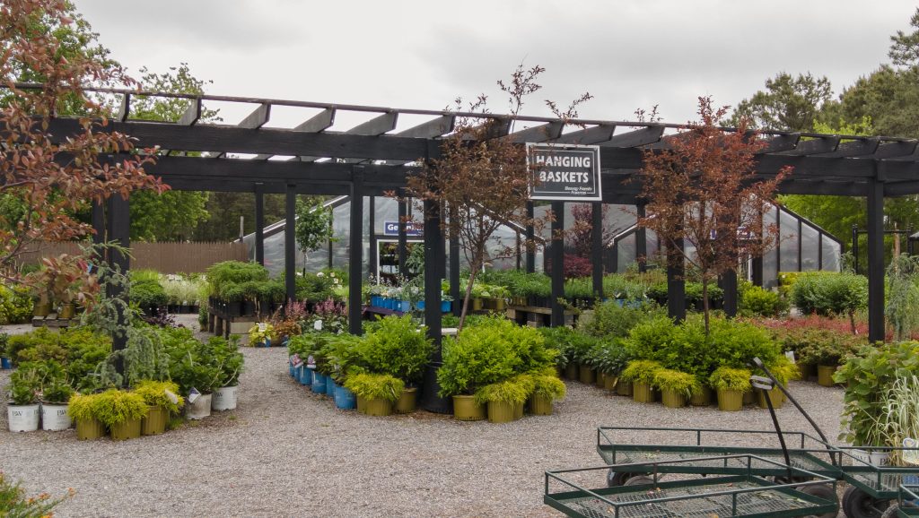 Berry Fresh Farms, Brick, N.J., May 2022. (Photo: Daniel Nee)