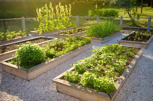Brick Community Garden (Photo: Brick Township)