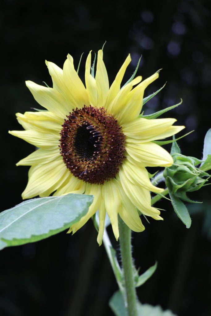 The Brick Garden Club's 2022 Garden Tour. (Photo: Township of Brick)