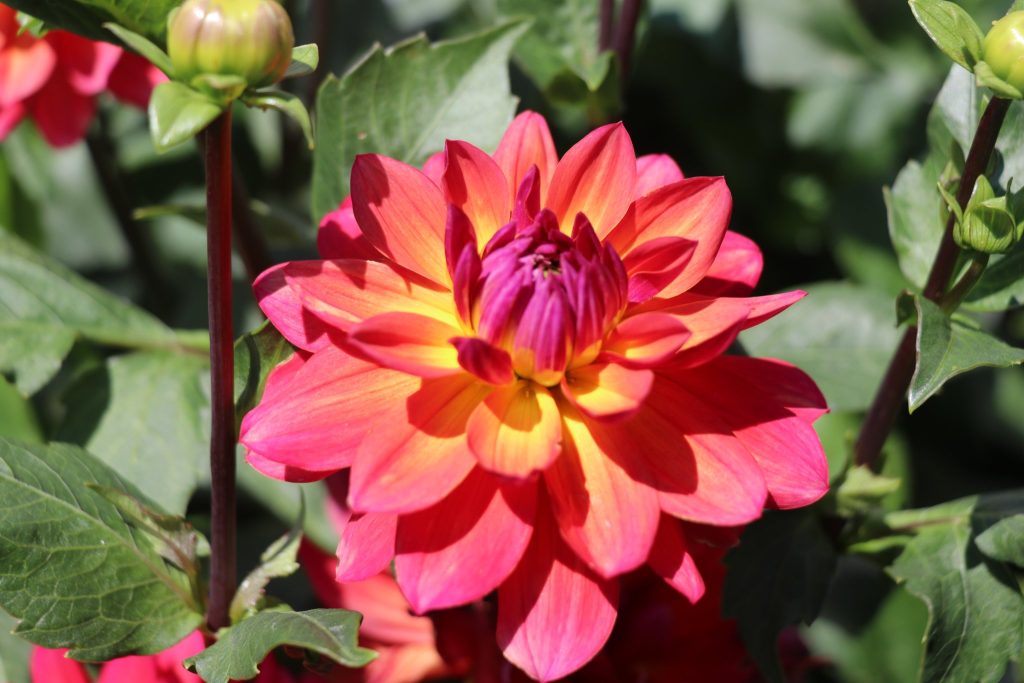 The Brick Garden Club's 2022 Garden Tour. (Photo: Township of Brick)
