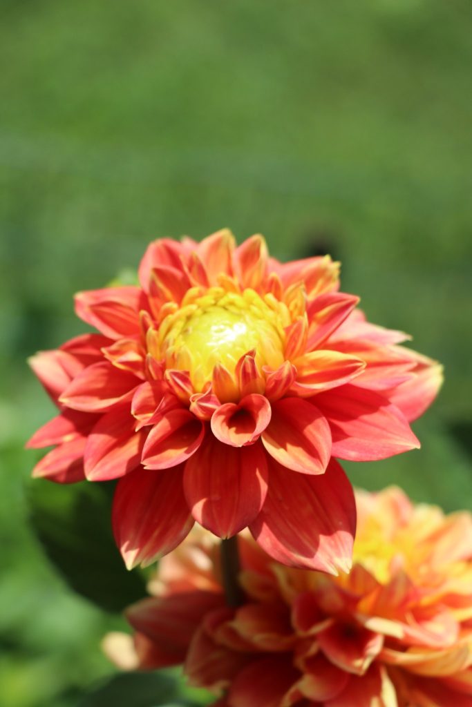 The Brick Garden Club's 2022 Garden Tour. (Photo: Township of Brick)